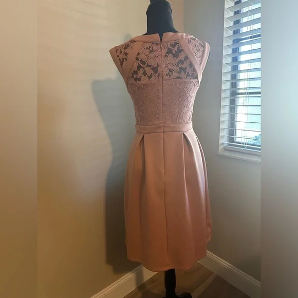 EUC‼️ Enfocus Studio Dusty Rose Sparkly Lace Dress. - Picture 7 of 8